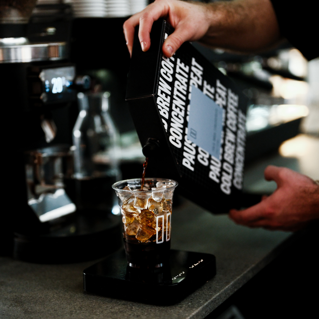 Cold Brew Concentrate