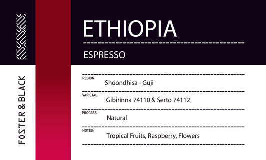 Ethiopia - Shoondhisa Guji {Espresso}