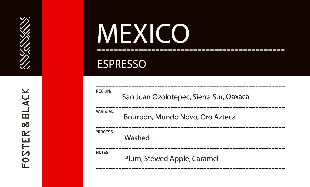 Mexico - San Juan Ozolotepec {Espresso}