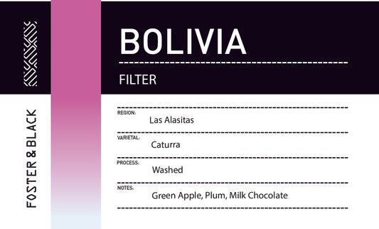 Bolivia - Las Alasitas {Filter}