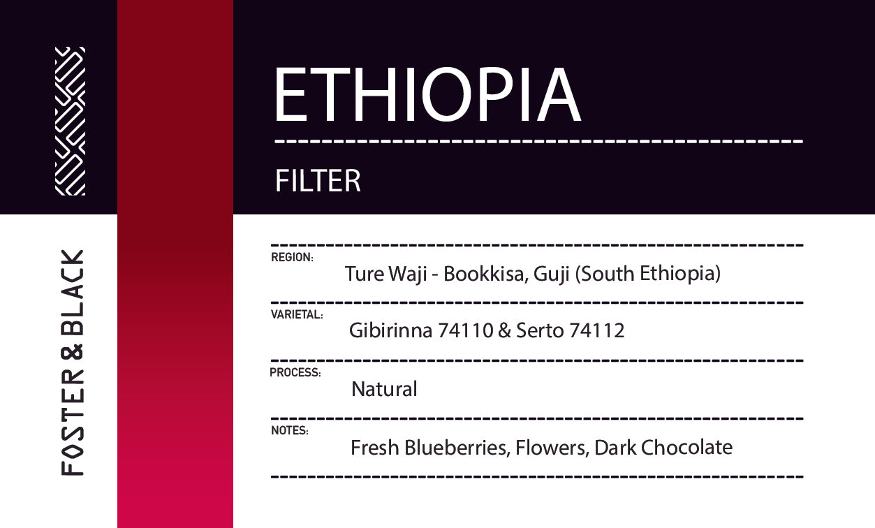 Ethiopia - Bookkisa {Filter}