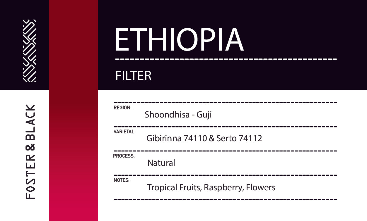 Ethiopia - Shoondhisa Guji {Filter}