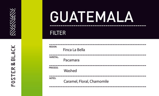 Guatemala - Finca La Bella {Filter}