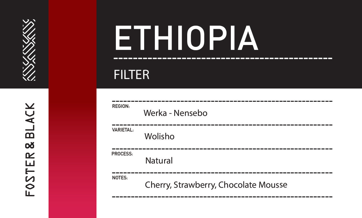 Ethiopia - Werka Nensebo {Filter}